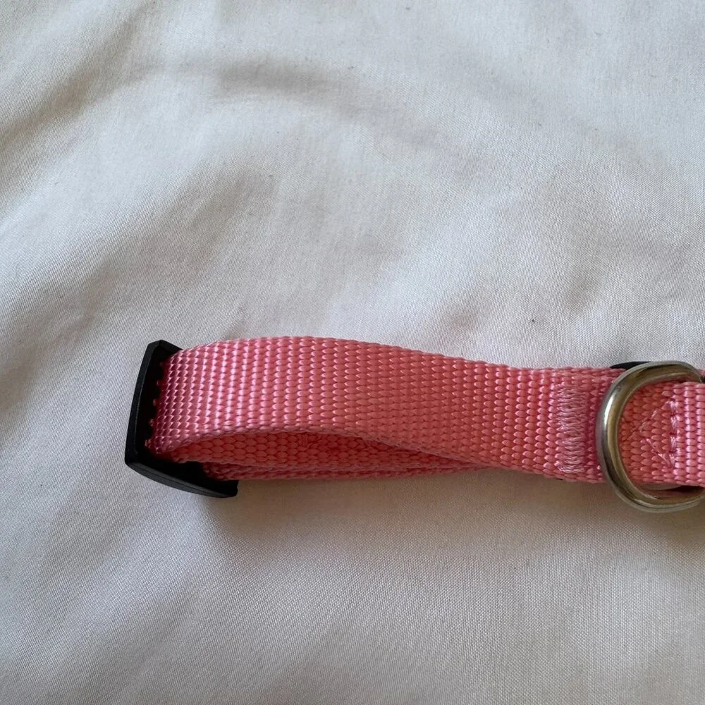 NWT Native Pup Basic Nylon Dog Collar, Adjustable for Small Dogs or Puppies Pink